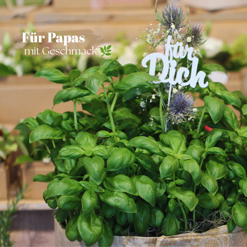 A basil plant in a pot with a sign saying 'For You' in front of a blurry background.