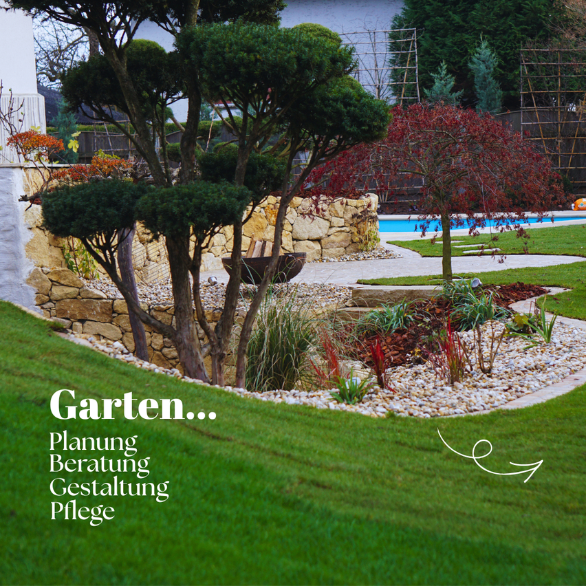 A backyard garden with a stone wall, a pool, and a small garden with trees and plants.