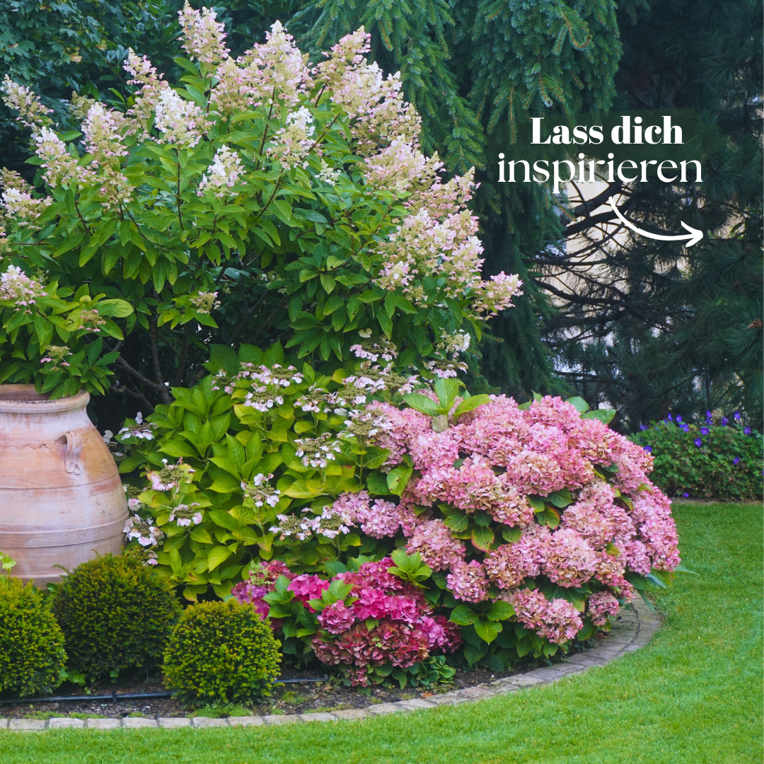 A garden with pink hydrangeas, green leaves, and a large brown vase. The image has a text overlay that says 'Lass dich inspirieren.'