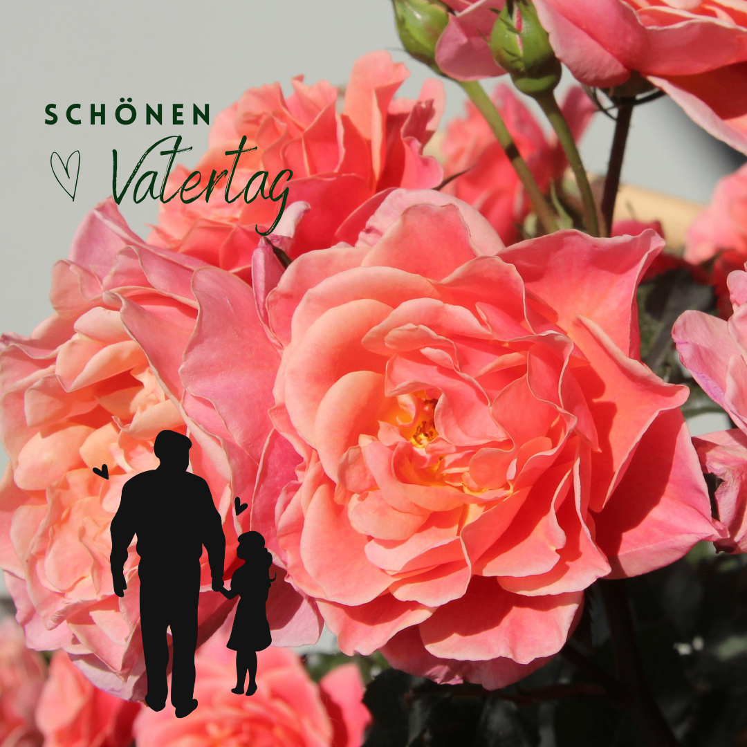 Ein Vater und eine Tochter halten Händchen vor einem Strauß rosa Rosen. Der Text 'Schönen Vatertag' zeigt an, dass es sich um einen Vatertagsgruß handelt.