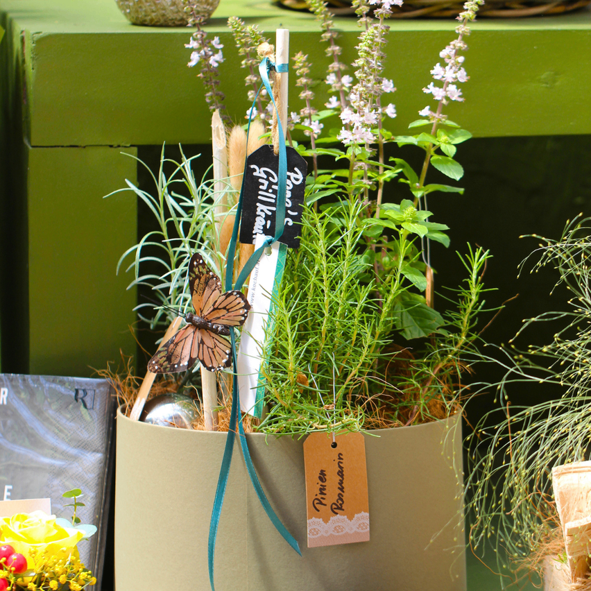 A pot with a butterfly, plant tags, and decorative elements. The pot is brown, with a butterfly on a ribbon. The plant has green leaves and white flowers.