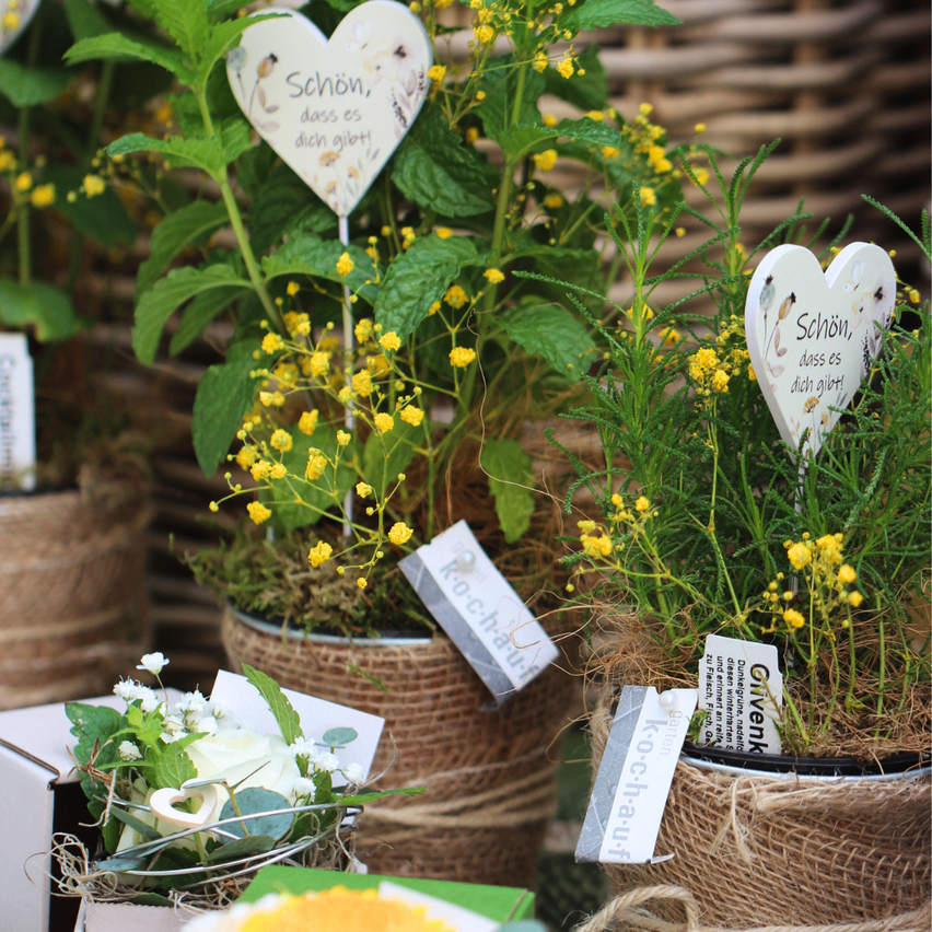 Several small potted plants with yellow flowers and heart-shaped signs in German. The heart signs say 'Schön, dass es dich gibt'. The plants are in brown pots with burlap around them.