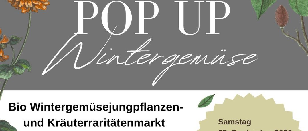 Plakat für einen Bio-Wintergemüse- und Kräutermarkt in Glognitz, Österreich. Der Markt bietet Bio-Kräuter, Bio-Gemüsepflanzen, Honigprodukte und mehr. Er ist für den 5. September 2026 von 10:00 bis 17:00 Uhr geplant.