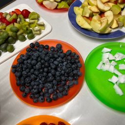 Eine Vielzahl von Früchten auf einem Tisch. Platten enthalten Blaubeeren, gewürfelte Äpfel, Kokosnuss, Kiwi, Erdbeeren und grüne Trauben.
