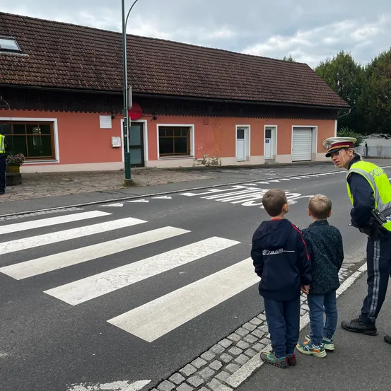 Ein Verkehrspolizist unterrichtet zwei Jungen über Fußgängersicherheit an einem Zebrastreifen. Dahinter befindet sich ein Haus mit braunem Dach und rosa Wänden.