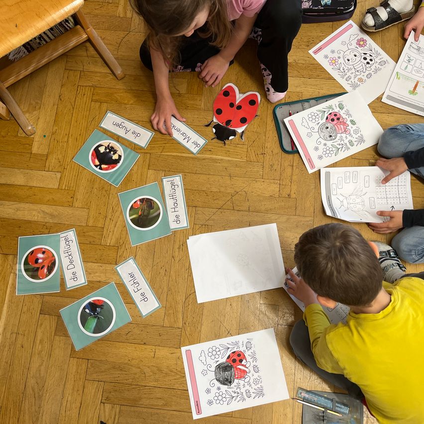 Kinder sitzen auf dem Boden und sind in einer pädagogischen Aktivität mit Marienkäfern beschäftigt. Sie haben Malvorlagen und Etiketten mit Wörtern wie 'Marienkäfer' und 'die Flügel'. Ein Junge im gelben Shirt konzentriert sich auf seine Arbeit.