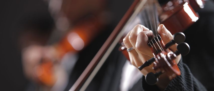 Bild enthält, Musical Instrument, Violin, Leisure Activities, Music, Musician, Performer, Person