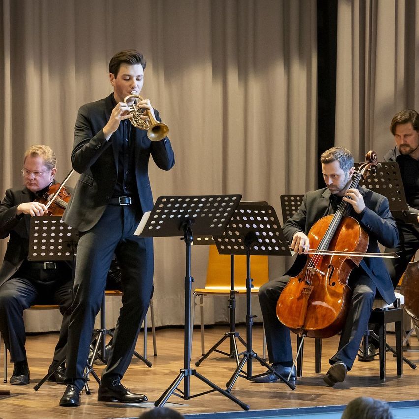 Bild enthält, Group Performance, Music Band, Musical Instrument, Performer, Person, Shoe, Violin, Adult, Male, Man