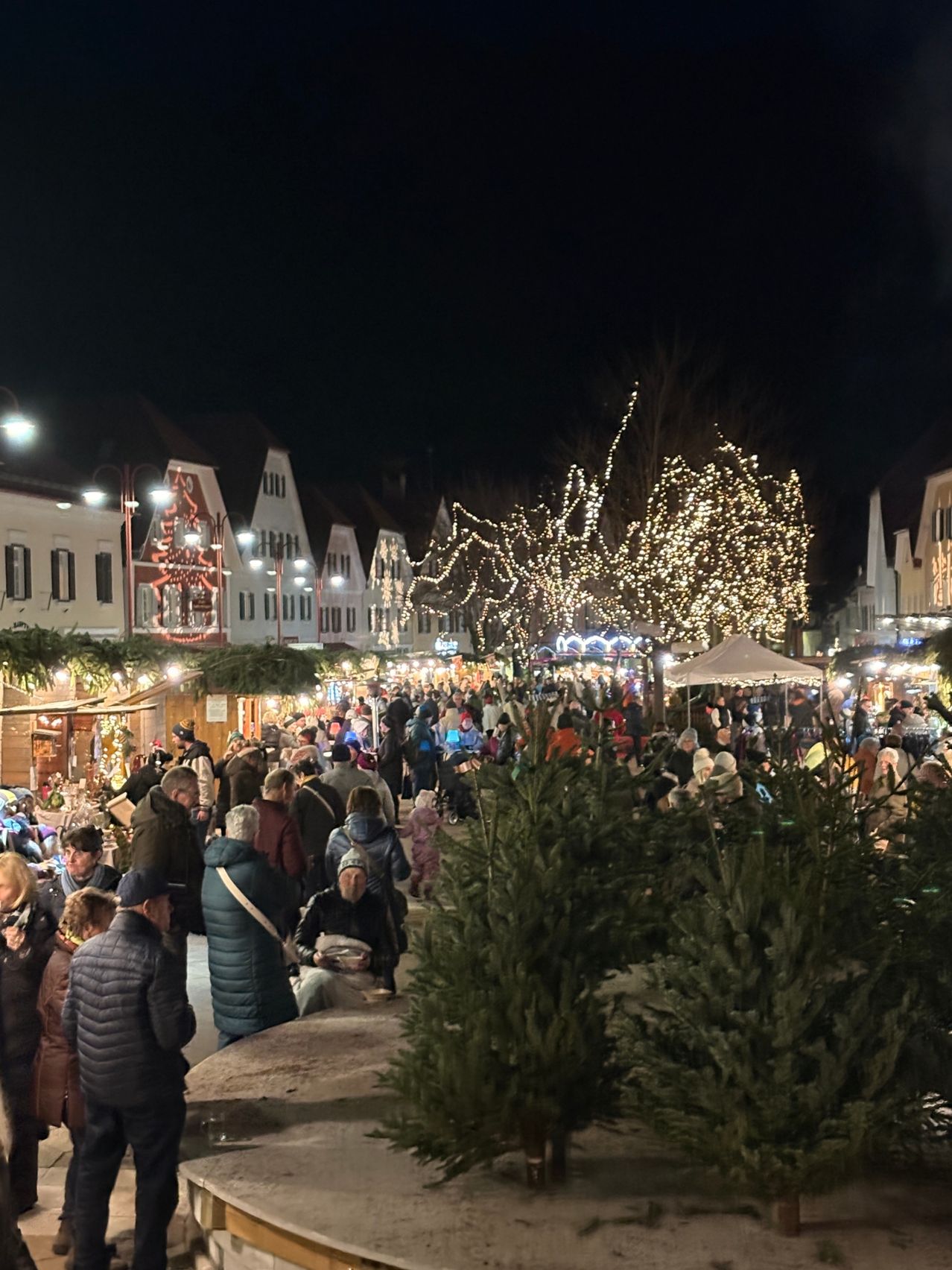 Ein geschäftiger Straßenmarkt bei Nacht mit vielen Menschen. Die Straße ist von Gebäuden gesäumt, einige mit Lichtern. Bäume mit Lichtern schmücken die Straße. Menschen gehen und einige sitzen unter einem Zelt.
