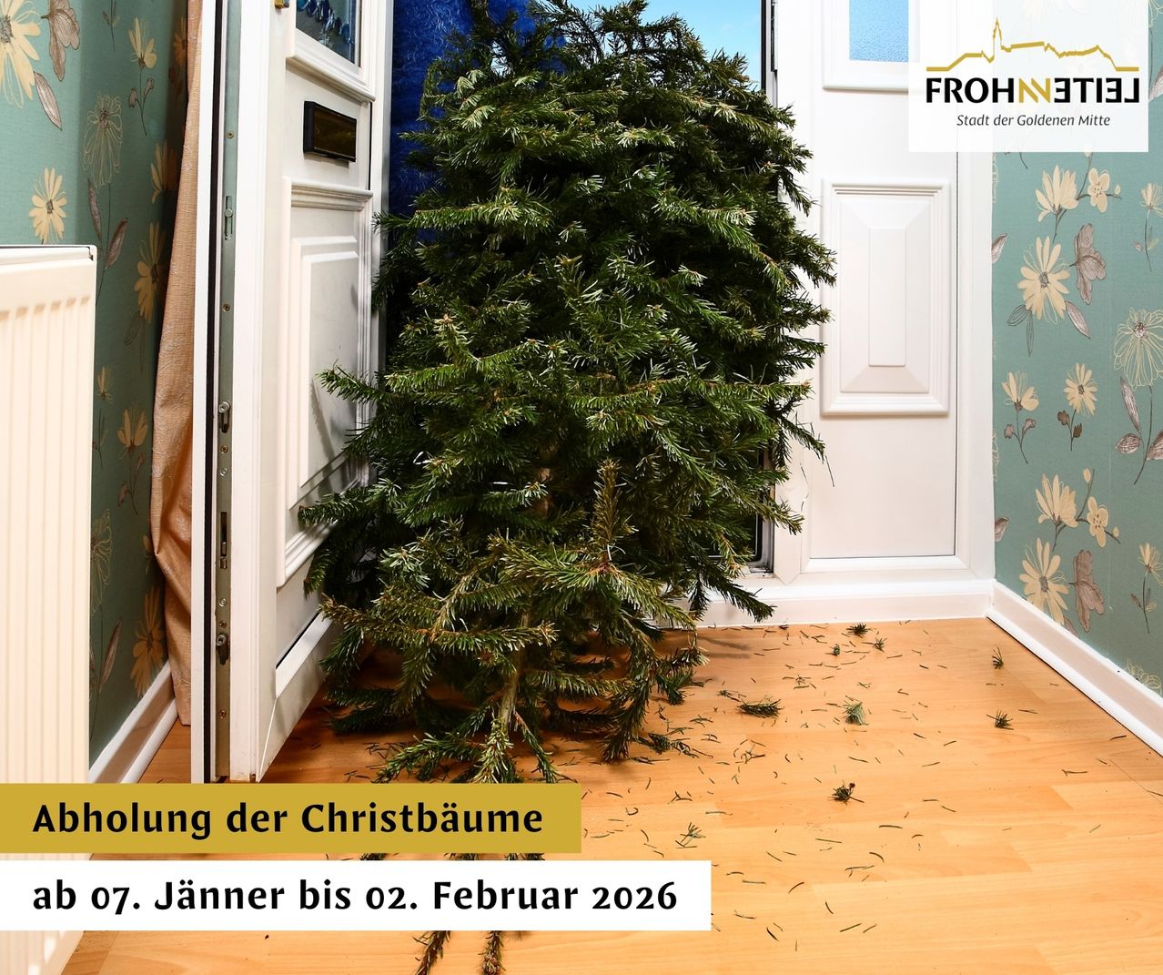 Ein Innen-Weihnachtsbaum steht in der Nähe einer offenen Tür mit einem gelben Schild, das 'Abholung der Weihnachtsbäume' besagt. Der Baum ist von gefallenen Nadeln auf dem Holzboden umgeben. Der Abholtermin ist vom 7. Januar bis 2. Februar 2026.