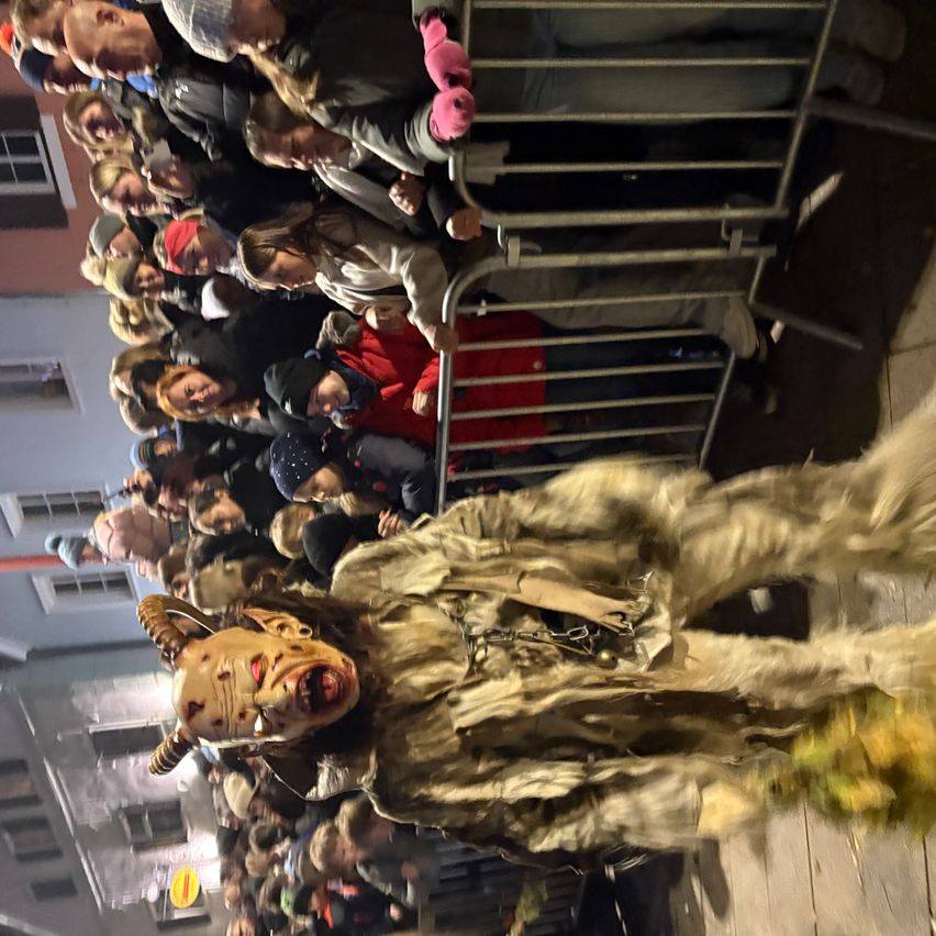 A crowd of people stands behind a metal barrier, watching a person dressed in a goat costume with horns and a mask. Some wear winter clothing, and the scene is illuminated by building lights.