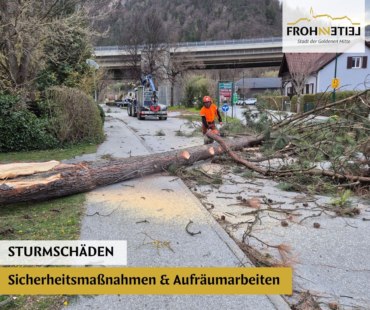 Ein Arbeiter in einer orangenen Weste schneidet einen umgestürzten Baum auf dem Bürgersteig mit einer Kettensäge. Ein Lkw ist in der Nähe geparkt.