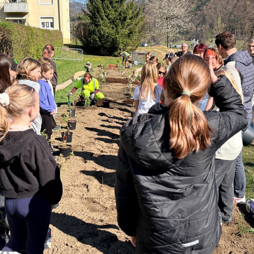 A group of children and adults are planting trees in a garden. A man is kneeling and planting a tree while others watch.