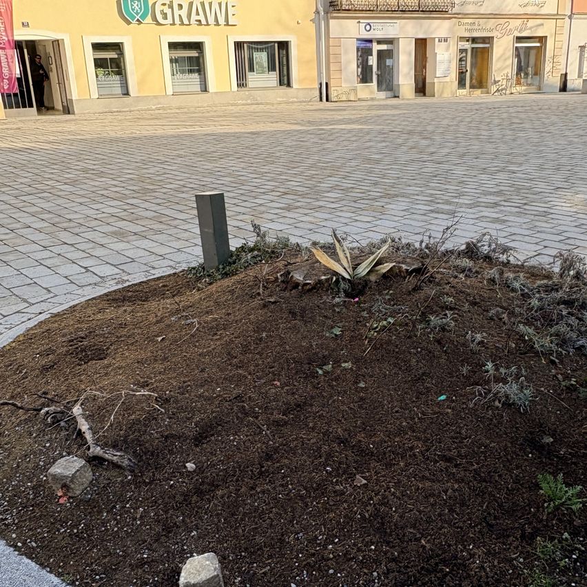 Ein leerer Kopfsteinpflasterplatz mit einem kleinen kreisförmigen Beet aus Erde und Pflanzen vor einem Gebäude mit dem Schild 'GRAWE'.