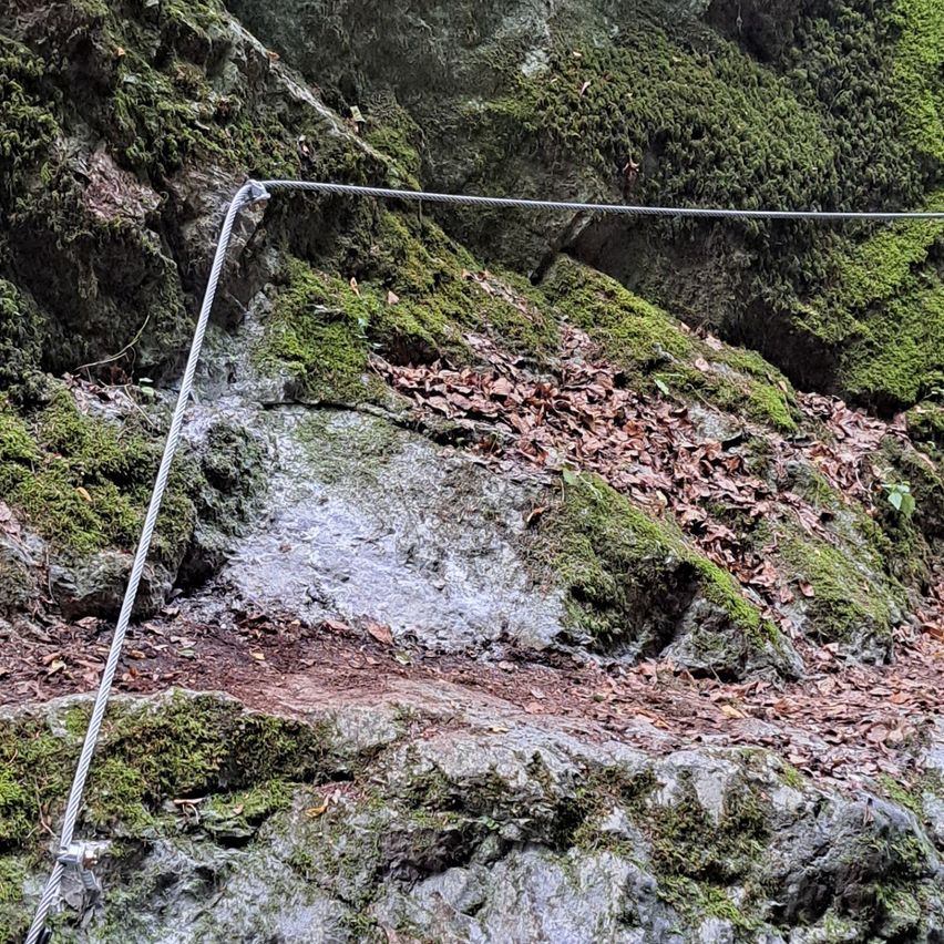 Ein Metallseil ist an moosbewachsenen Felsen befestigt und bildet einen Pfad. Die Felsen sind mit grünem Moos und braunen Blättern bedeckt.