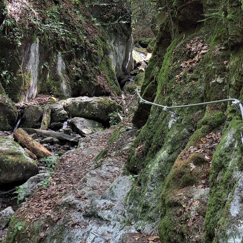 Ein felsiger Pfad umgeben von moosbewachsenen Felsen und Grün. Ein schmaler Wasserstrom fließt durch, mit einem Seil, das an der Felswand für die Sicherheit befestigt ist.
