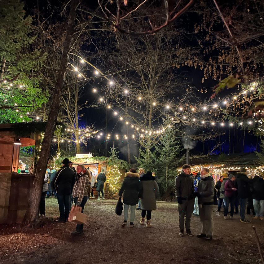 Bild enthält, Lighting, Tree, Person, Walking, Fir, Urban, Coat, Outdoors, Nature, Pedestrian
