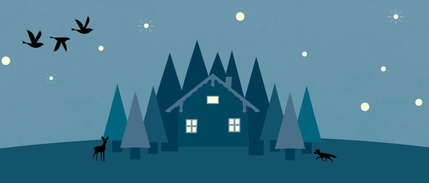 Bild enthält, Nature, Night, Outdoors, Moon, Animal, Bird, Kangaroo, Mammal, Dog, Deer