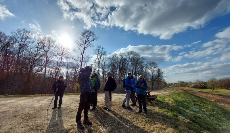Eine Gruppe von Wanderern steht auf einem Feldweg und beobachtet die Landschaft. Bäume und eine bewölkte Himmelsregion sind im Hintergrund sichtbar.