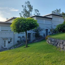 Nature, Outdoors, Yard, Plant, Architecture, Building, Housing, House, Villa, Row House