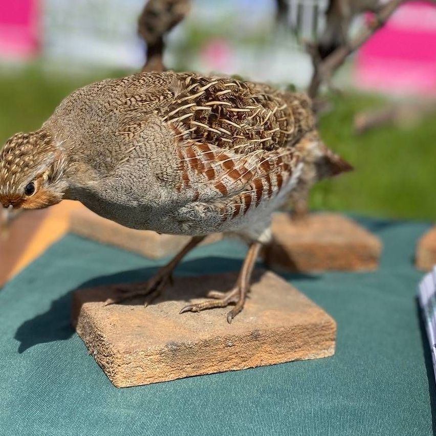 v1_migrated_image_1628923