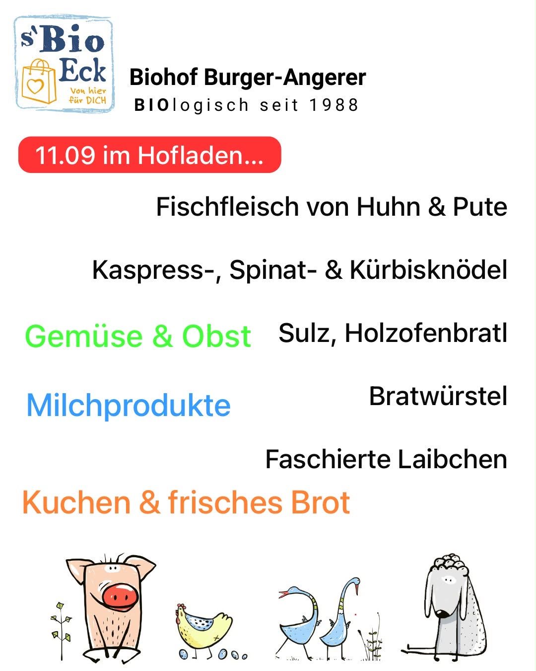 Werbung für Biohof Burger-Angerer mit verschiedenen Lebensmitteln und einer Schweineillustration. Kategorien umfassen Fisch, Gemüse, Milchprodukte und mehr. Datum und Ort sind ebenfalls angegeben.
