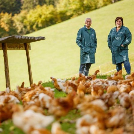 Zwei Personen in grünen Laborkittel stehen auf einer grünen Wiese mit vielen Hühnern um sie herum. Eine lächelt, die andere sieht ernst aus. Dahinter steht eine Holzkonstruktion und ein grüner Hügel.