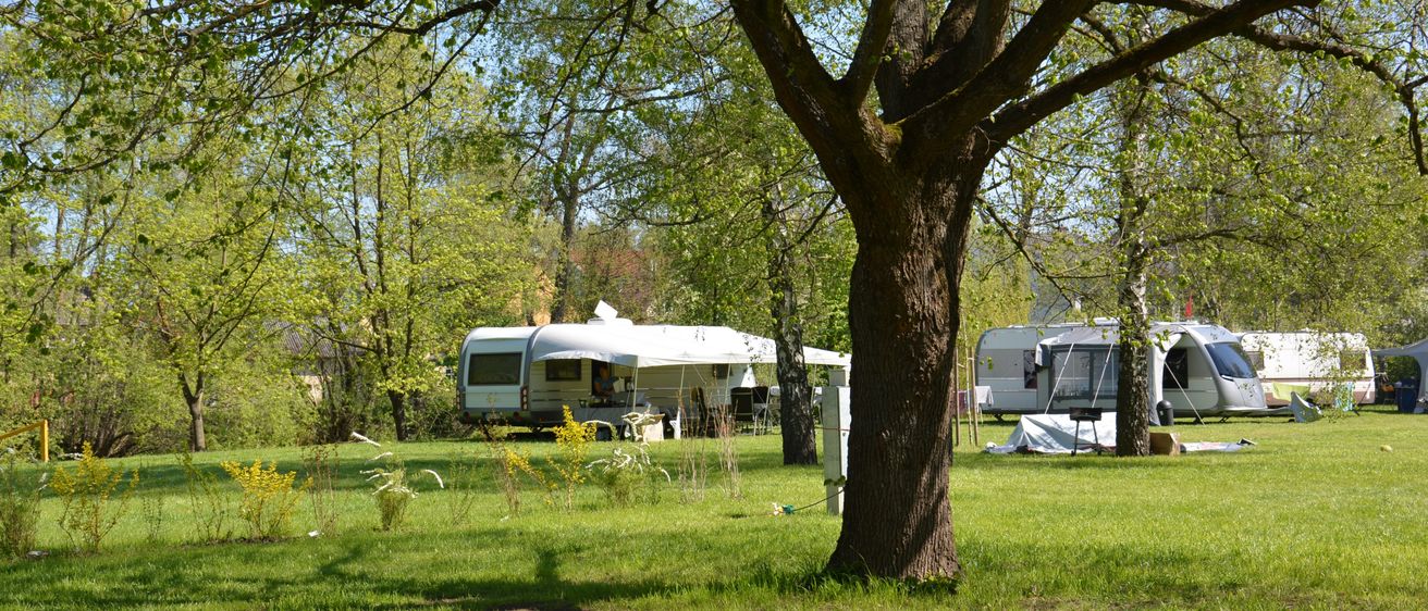 Ein paar Wohnmobile sind auf einem Rasen mit Bäumen in einem Campingplatz geparkt. Ein Wohnwagen ist in der Ferne geparkt.