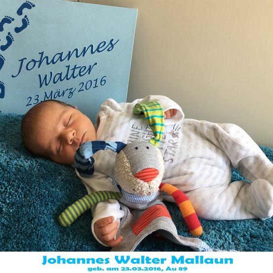 Ein Neugeborenes, Johannes Walter Mallaun, geboren am 23. März 2016, schläft auf einer blauen Decke mit einem Kuscheltier.