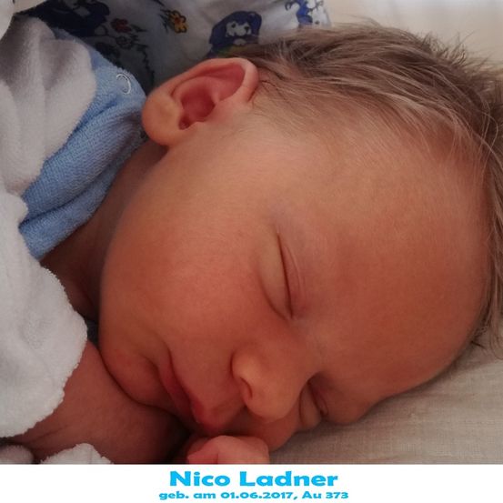 Ein Nahaufnahme eines schlafenden Babys, Nico Ladner, geboren am 1. Juni 2017, mit einer hellblauen Decke, die seinen Körper bedeckt.