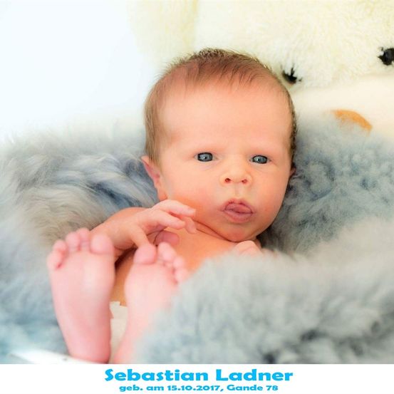 Neugeborenes Baby Sebastian Ladner, geboren am 15.10.2017, liegt auf einer grauen Pelzdecke mit einem weißen Teddybären hinter ihm.