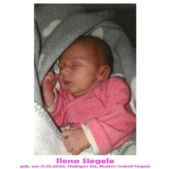 Ein Babymädchen namens Ilena Siegele, geboren am 17.01.2020, schläft friedlich in einem rosa Outfit mit einer grauen Decke.