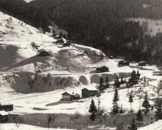 Eine Schwarz-Weiß-Fotografie einer verschneiten Bergregion mit mehreren kleinen Holzhäusern, die auf den Hängen verstreut sind und von Kiefern umgeben sind.