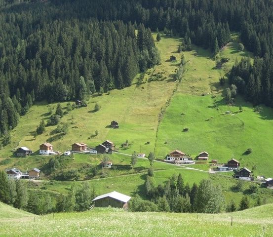Luftaufnahme eines kleinen Dorfes, eingebettet in einem grünen Tal, umgeben von üppigen grünen Hügeln und dichten Kiefernwäldern.