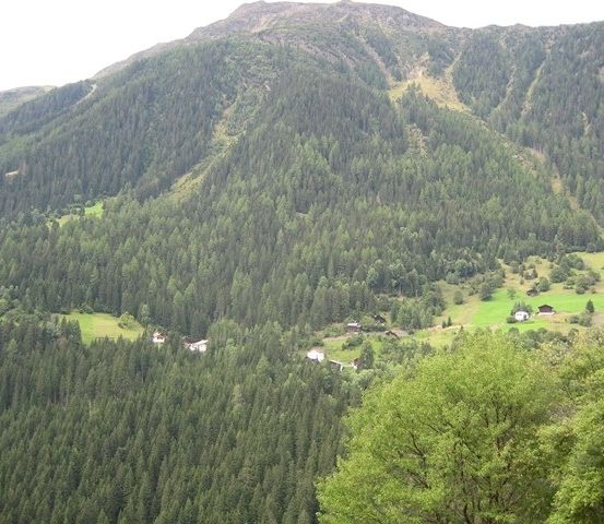 Ein Panoramablick auf eine bergige Region mit dichten Wäldern und verstreuten Häusern. Die Berge sind mit üppigem grünem Laub bedeckt.