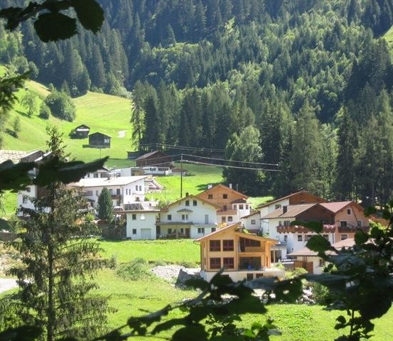 Ein malerisches Dorf in den österreichischen Alpen, umgeben von saftig grünen Wiesen und dichten Kiefernwäldern. Die Häuser, einige mit Solarpanelen, sind zwischen den Bäumen eingebettet.
