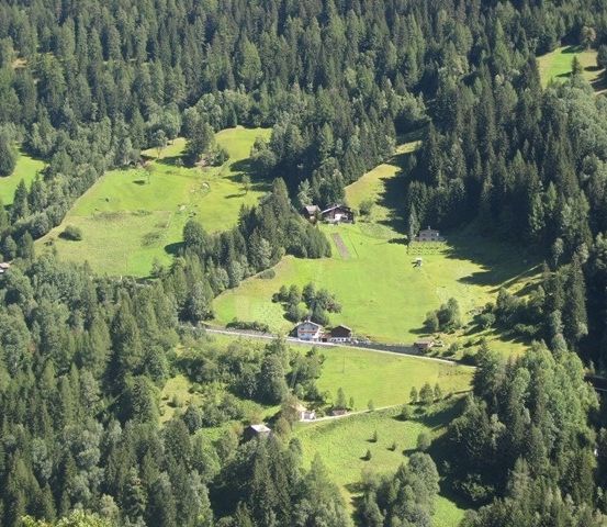 Ein Luftbild einer üppigen grünen Tal, umgeben von hohen Bäumen und einigen Häusern. Das Tal ist breit und mit Gras gefüllt, mit einer Straße, die hindurchführt.
