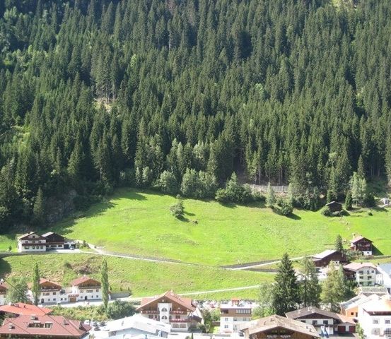 Luftaufnahme eines kleinen Dorfes in den österreichischen Alpen, umgeben von üppigen grünen Wiesen und dichten Wäldern. Die Häuser liegen zwischen den Bäumen, mit einem klaren blauen Himmel darüber.