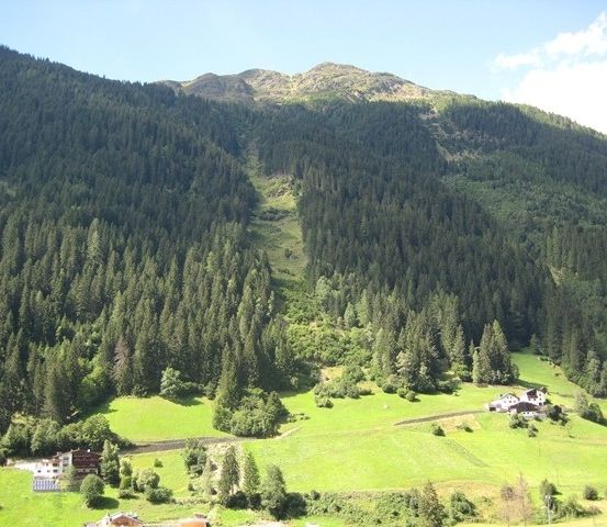 Luftaufnahme eines üppigen grünen Tals, umgeben von dichten Kiefernwäldern und Bergen unter einem klaren blauen Himmel.
