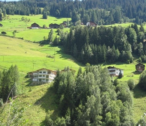 Luftaufnahme eines grünen Bergtals mit mehreren Häusern und dichtem Wald. Die Häuser sind zwischen üppigen grünen Feldern und Bäumen eingebettet.