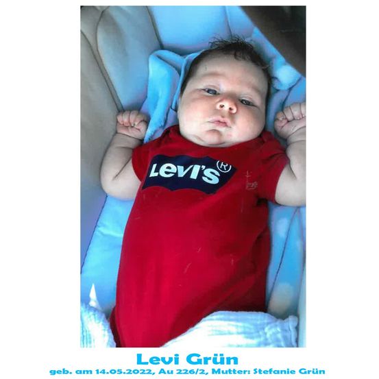 Ein Babyjunge namens Levi Grün, geboren am 14.05.2022, liegt auf einer blauen Decke und trägt ein rotes Levi's-T-Shirt.