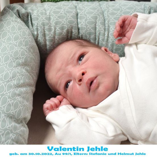 Ein Neugeborenes namens Valentin Jehle, geboren am 30.10.2022, liegt auf einem Kissen mit Fischmuster. Er trägt ein weißes Outfit und hat einen neugierigen Gesichtsausdruck.
