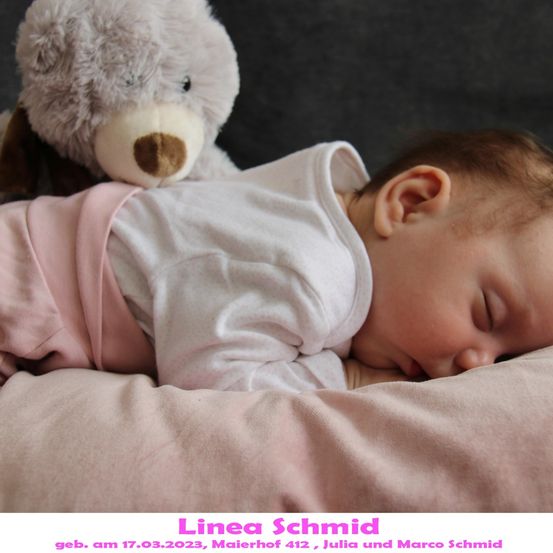 Ein Babymädchen namens Linea Schmid schläft friedlich auf einem Bett mit einer rosa Decke, ein Kuscheltier ist auf ihrer Brust. Das Bild hat einen Wasserzeichen mit dem Geburtsdatum des Babys und den Namen der Eltern.