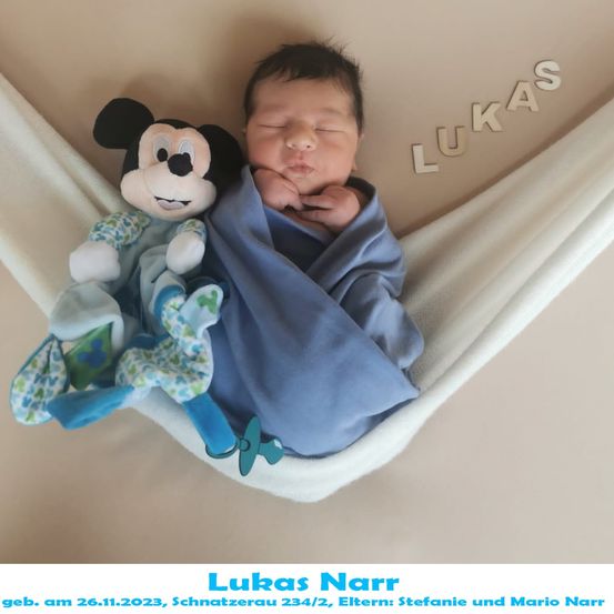 Ein neugeborener Junge namens Lukas schläft in einer Hängematte und hält ein Micky Maus Plüschtier. Das Bild enthält das Geburtsdatum, die Namen der Eltern und einen Wasserzeichen.