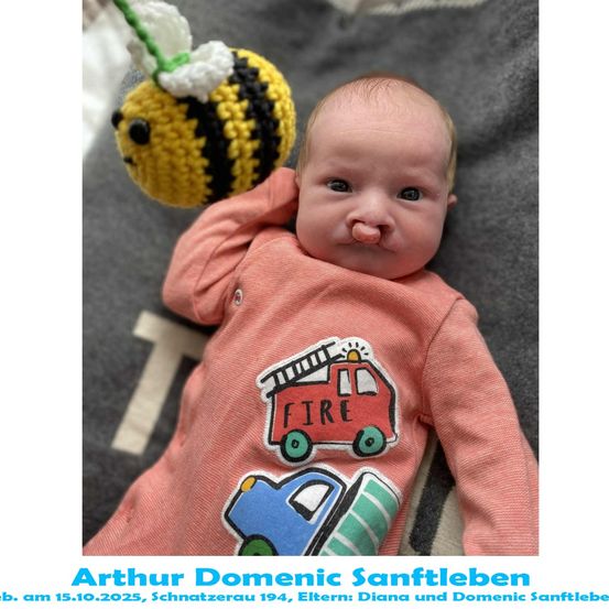 Ein Baby mit einem rosa Outfit, das einen Feuerwehrwagen und einen blauen LKW zeigt, liegt auf einer grauen Oberfläche mit einem gehäkelt Bienchen. Das Baby heißt Arthur Domenic Sanftleben.