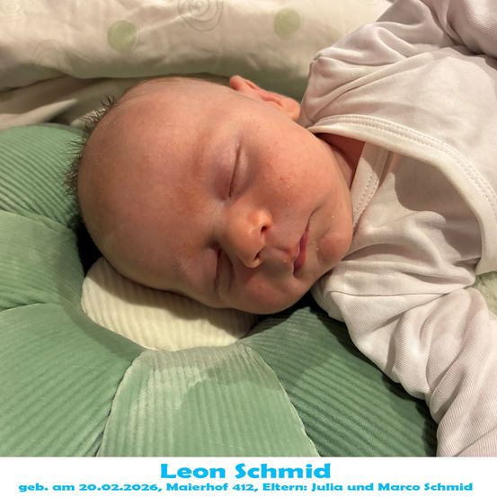 Ein Neugeborenes namens Leon Schmid schläft friedlich auf einem grünen Kissen mit einem weißen Tuch, geboren am 20. Februar 2026 in Maierhof 412.