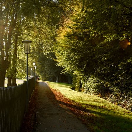 Bild enthält, Flare, Light, Sunlight, Path, Nature, Outdoors, Scenery, Tree, City, Grass