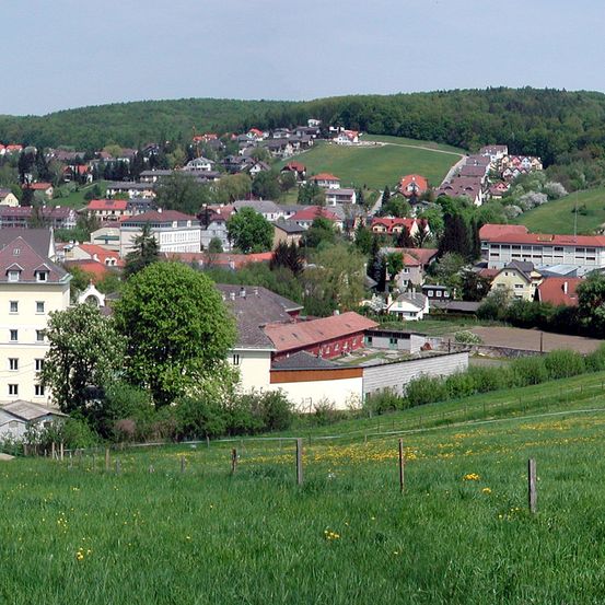 Bild enthält, Landscape, Nature, Outdoors, Scenery, Panoramic, Field, Grassland, Grass, Fir, Tree