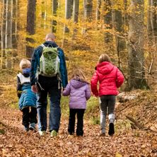 Bild enthält, Person, Walking, Hiking, Nature, Outdoors, Scenery, Bag, Vegetation, Tree, Backpack