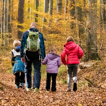 Bild enthält, Person, Walking, Hiking, Nature, Outdoors, Scenery, Bag, Vegetation, Tree, Backpack